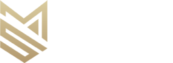 Seta Metal Logo